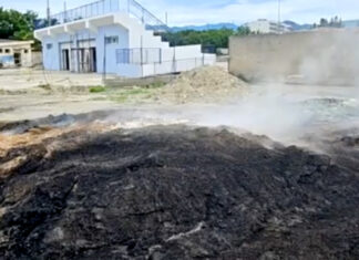 Atti vandalici e furti sul territorio dell’ex VIII circoscrizione del Comune di Reggio Calabria